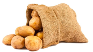 Sack-of-potatoes